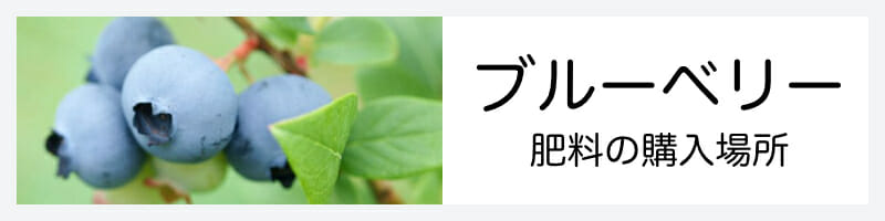 ブルーベリーのおすすめ購入方法のバナーです。