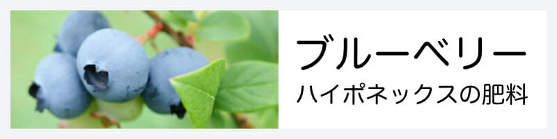 ブルーベリーハイポネックスの肥料記事のバナーです。