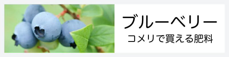 ブルーベリーコメリで買える肥料の記事のバナーです。