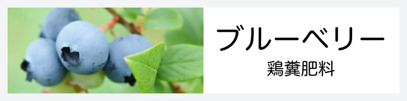 ブルーベリーの鶏糞肥料記事のバナーです。