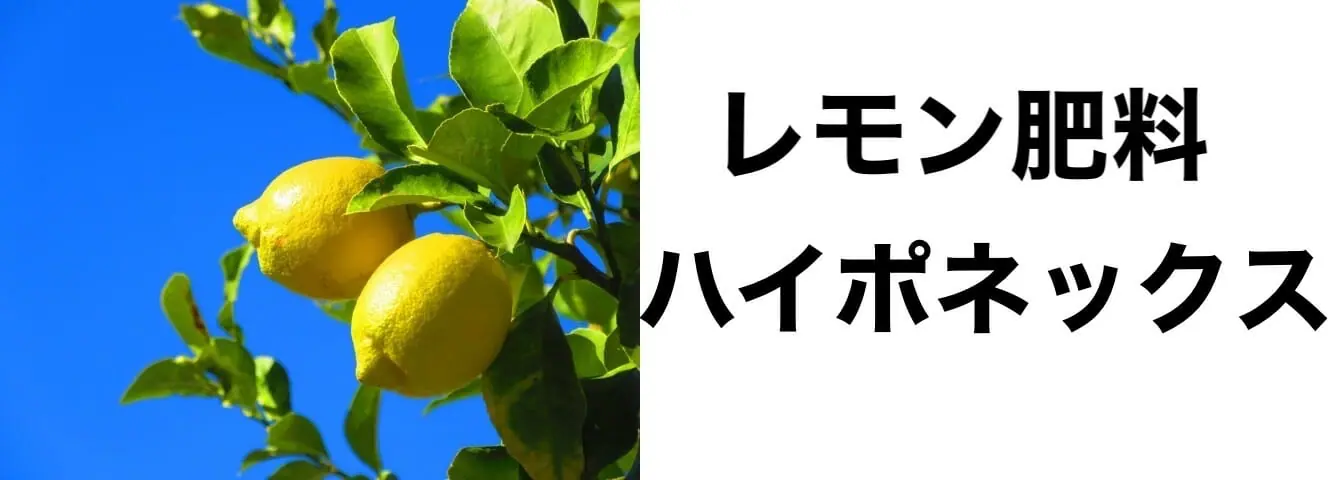 lemon-fertilizer-hyponex.jpeg.webp