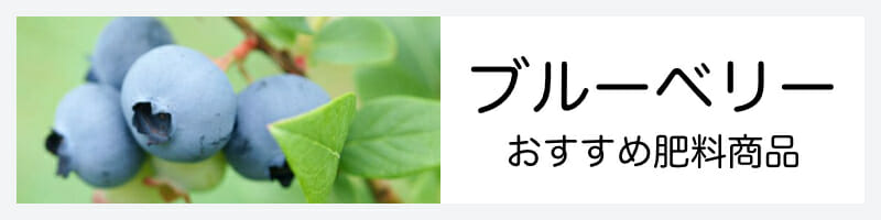 ブルーベリーのおすすめ肥料商品のバナーです。