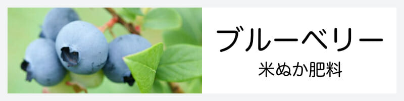 ブルーベリーの米ぬか肥料記事のバナーです。