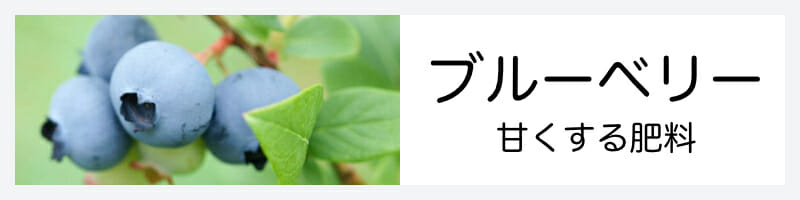 ブルーベリーを甘くする肥料の記事のバナー