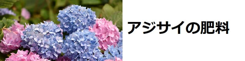 アジサイの肥料の与え方の基本とおすすめ商品まとめ