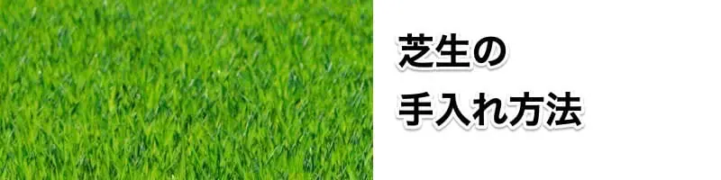 芝生の手入れと肥料 農家web 芝生の手入れと肥料 農家web