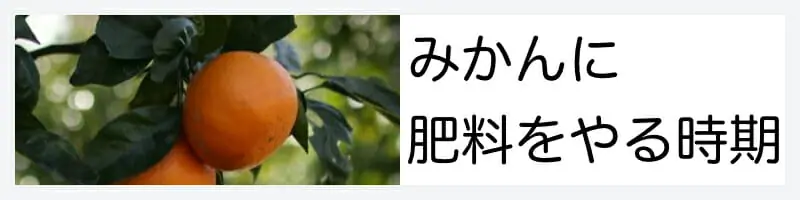 みかんに肥料をやる時期 農家web