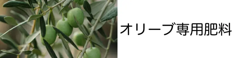 オリーブの専用肥料とその特徴 農家web