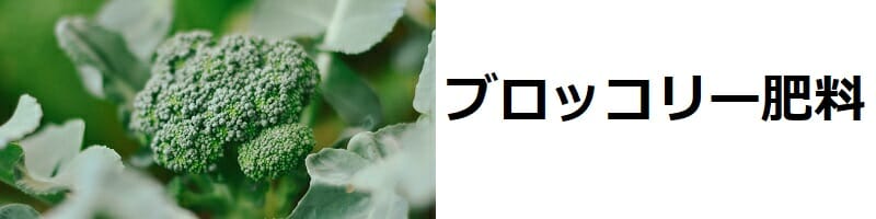 ブロッコリー肥料　与え方の基本と肥料の種類