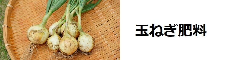 玉ねぎ栽培 肥料の種類 与え方の基本 農家web