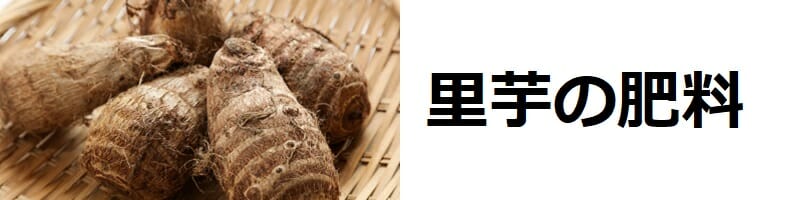 里芋（サトイモ）の栽培　肥料のやり方の基本とおすすめ肥料