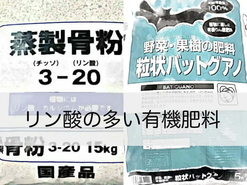 リン酸の多い有機肥料の種類とその基礎知識 農家web