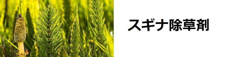 スギナ除草　除草剤の効果的な散布時期、使用方法、用途別商品、防除方法のまとめ