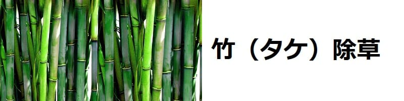 竹の除草タイトル