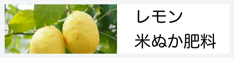 レモン米ぬか肥料記事のバナーです。