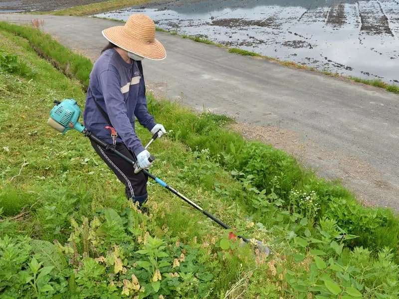 女性でも使いやすい、安全で簡単な草刈機の選び方 | 農家web