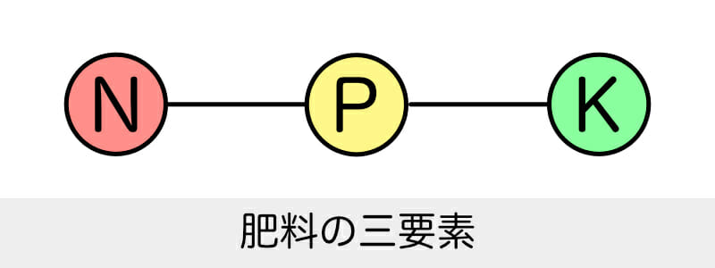 肥料の三要素（窒素、リン酸、カリウム）