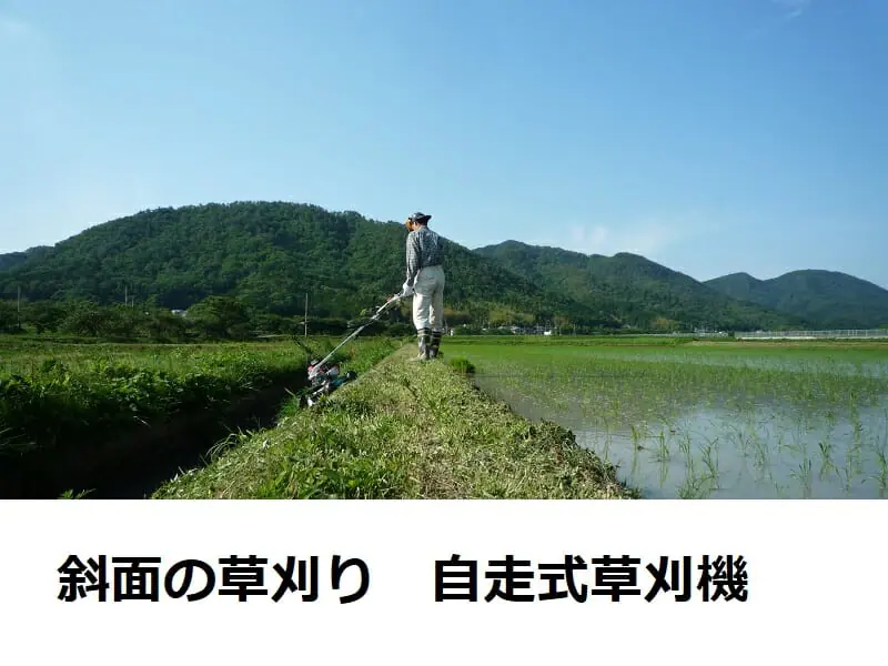 斜面（法面）の草刈り 自走式草刈機の種類と選び方 | 農家web
