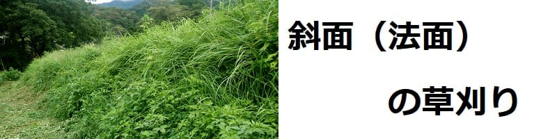 斜面の草刈り　楽で安全な草刈りの方法やおすすめの草刈機