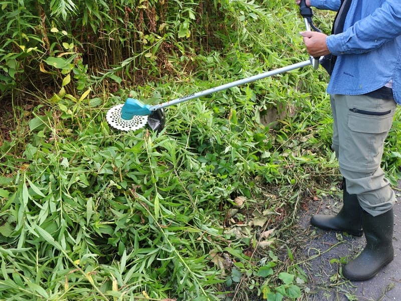 マキタの草刈機で草を刈る男性