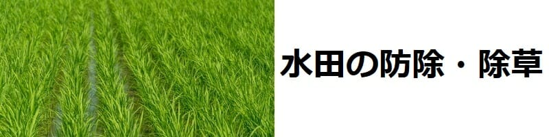 水田の除草　除草機、除草剤の種類、効果的な使い方のまとめ