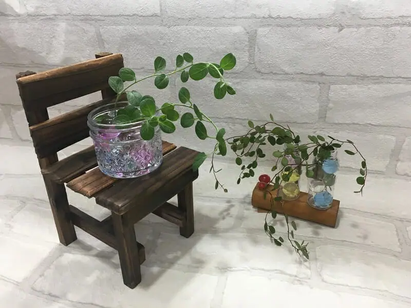 清潔でおしゃれ！ 観葉植物の水耕栽培の始め方や育て方 | 農家web